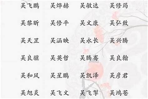 吳姓取名|姓吴男孩名字大全